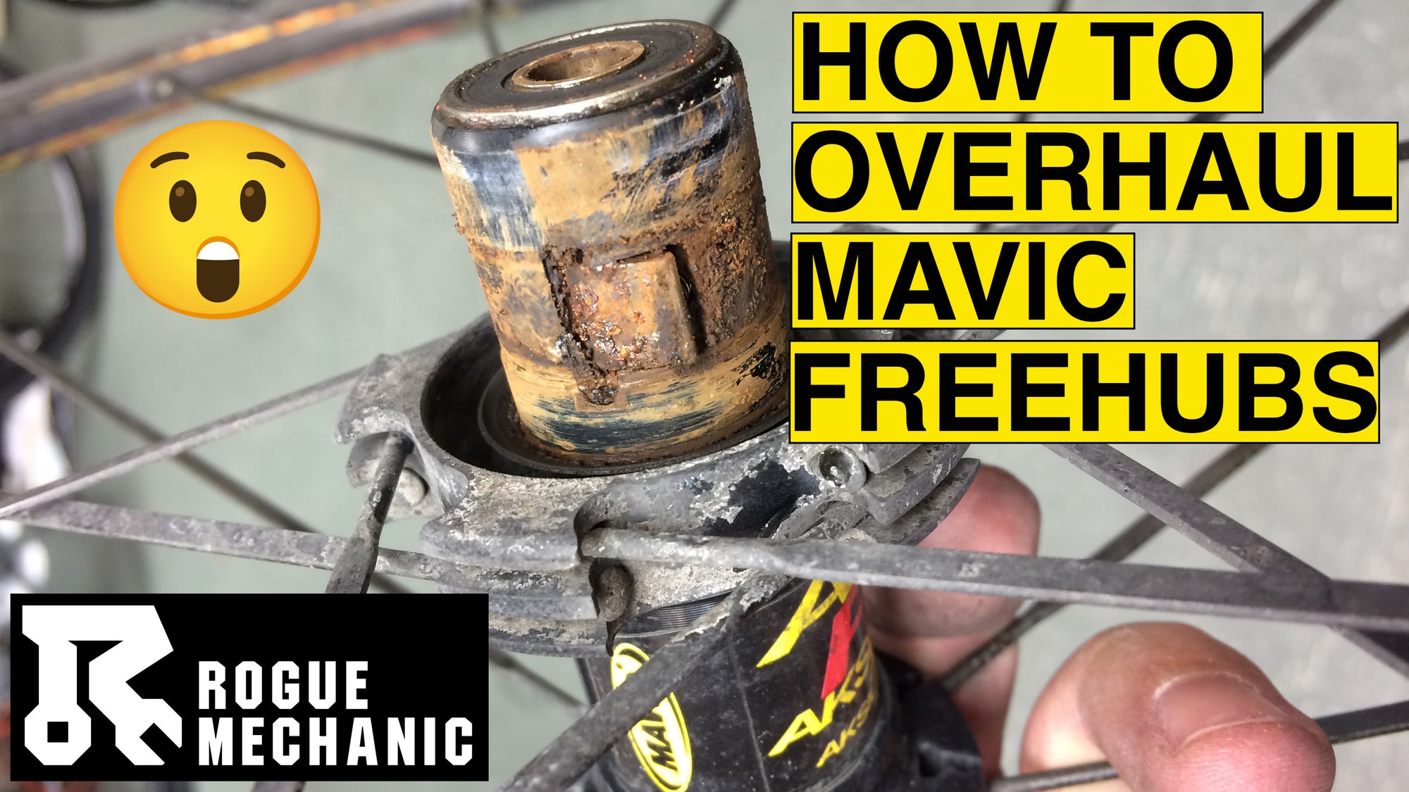 How to Overhaul a Mavic Freehub