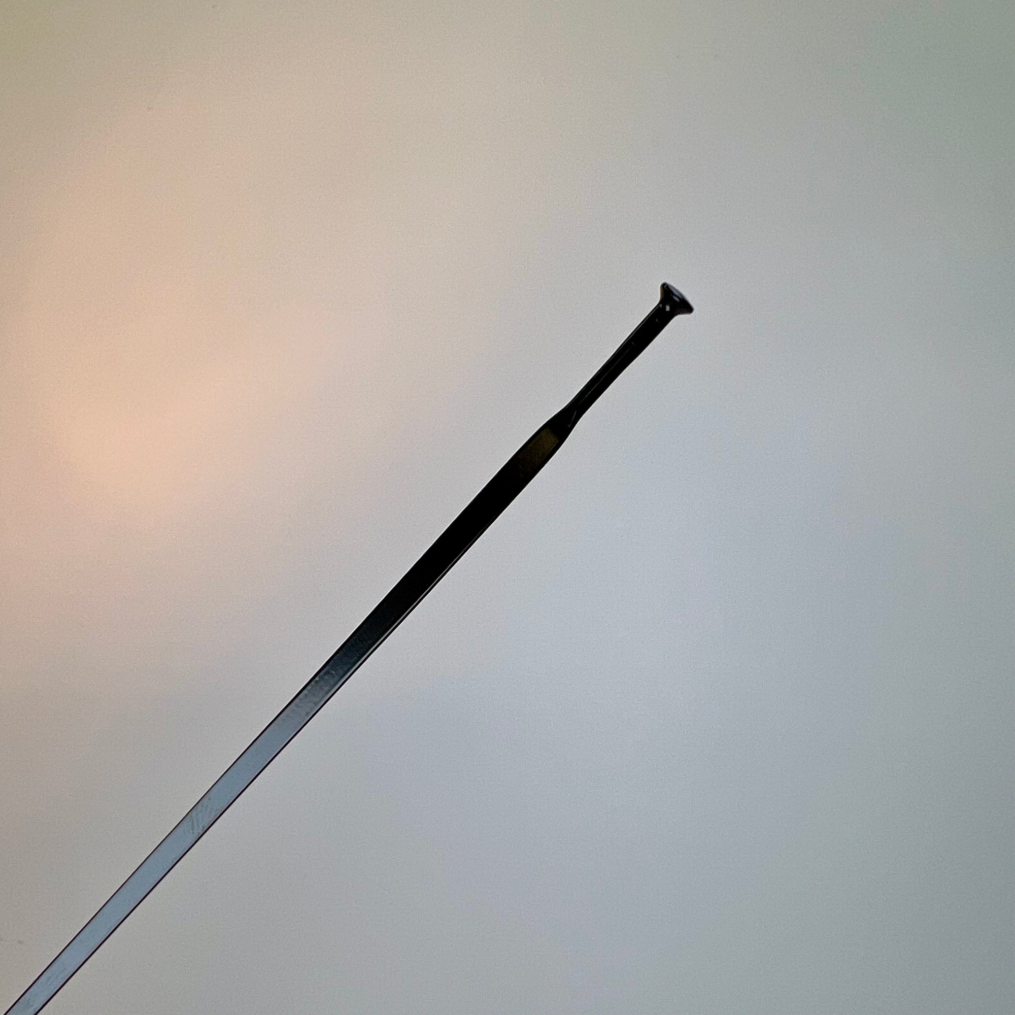 Mavic Cosmic SLR 32 Disc Spoke (2021+)