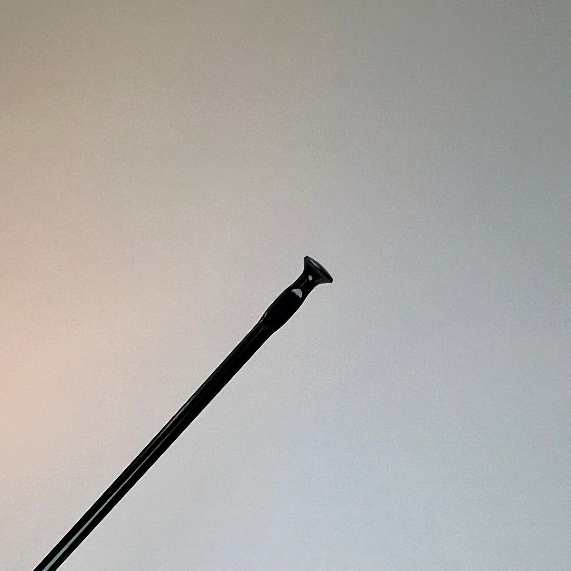 Mavic Aksium Disc / Crossride 29 Spokes (2019+)