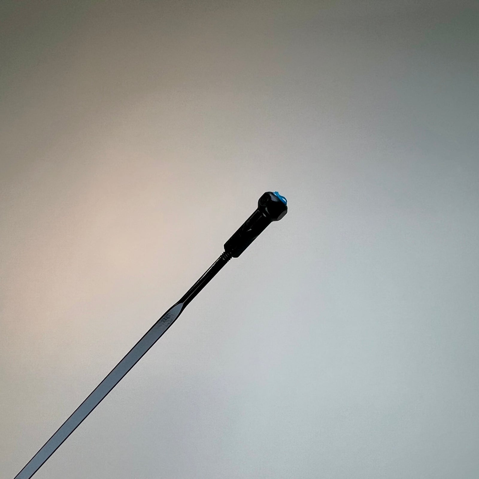 Mavic Cosmic Pro Carbon UST Steel Spoke (2019+)