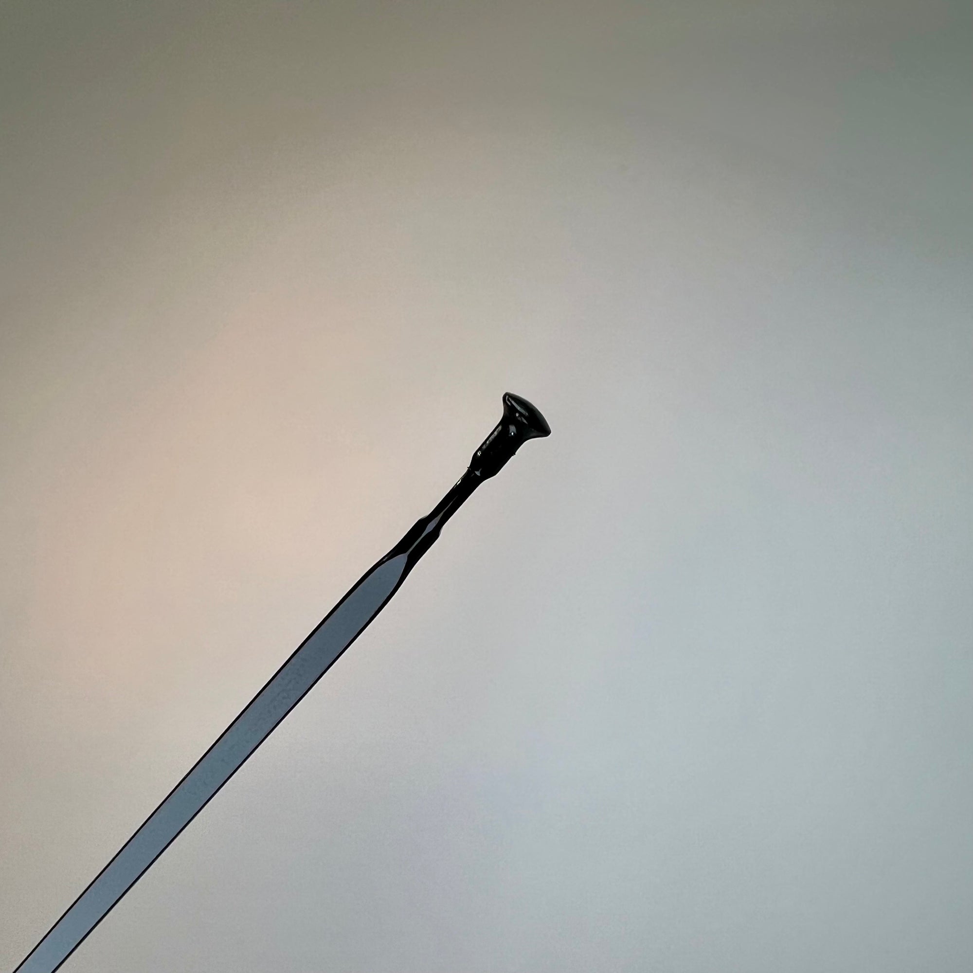 Mavic Cosmic Pro Carbon UST Steel Spoke (2019+)