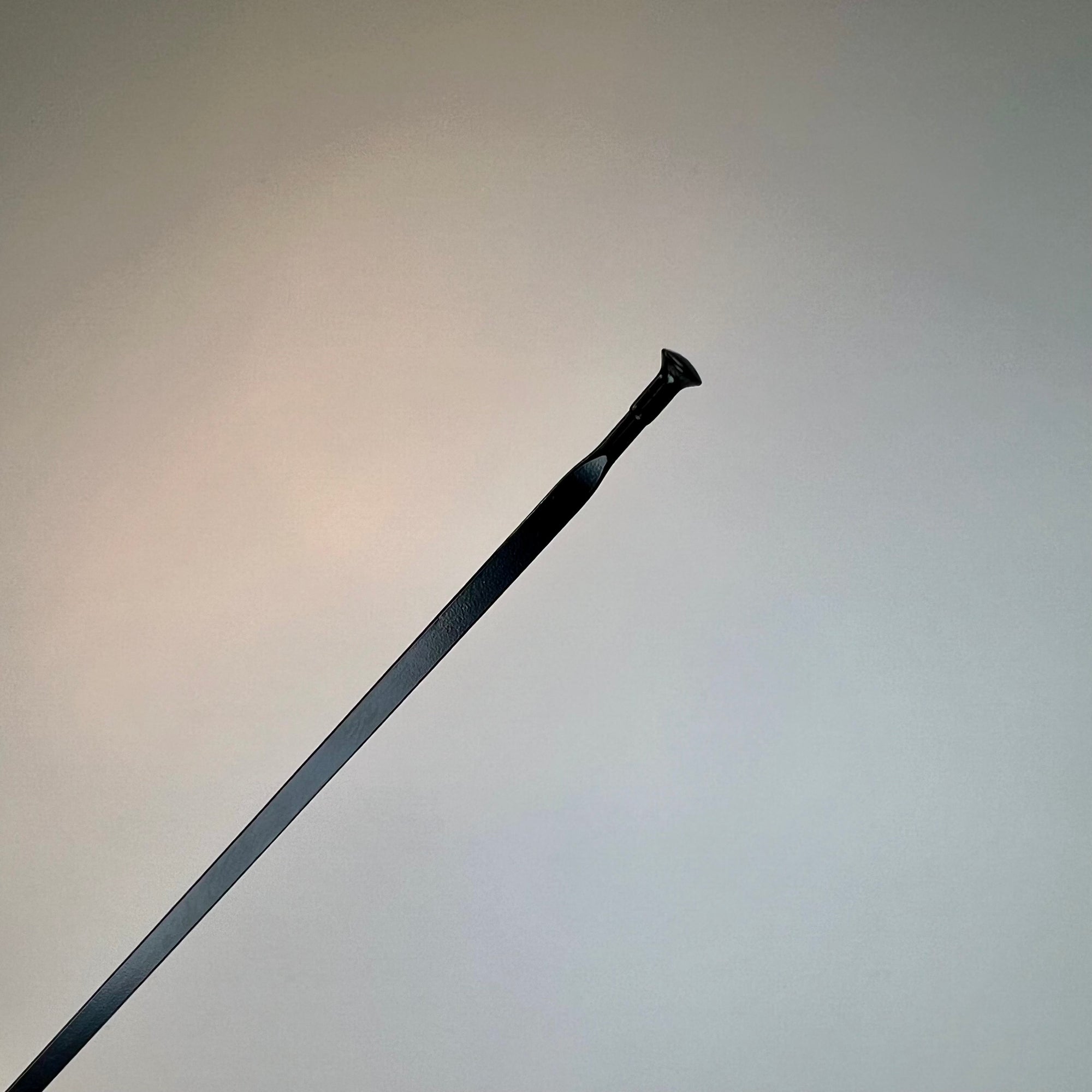 Mavic Ksyrium Disc TA Spokes (2017+)