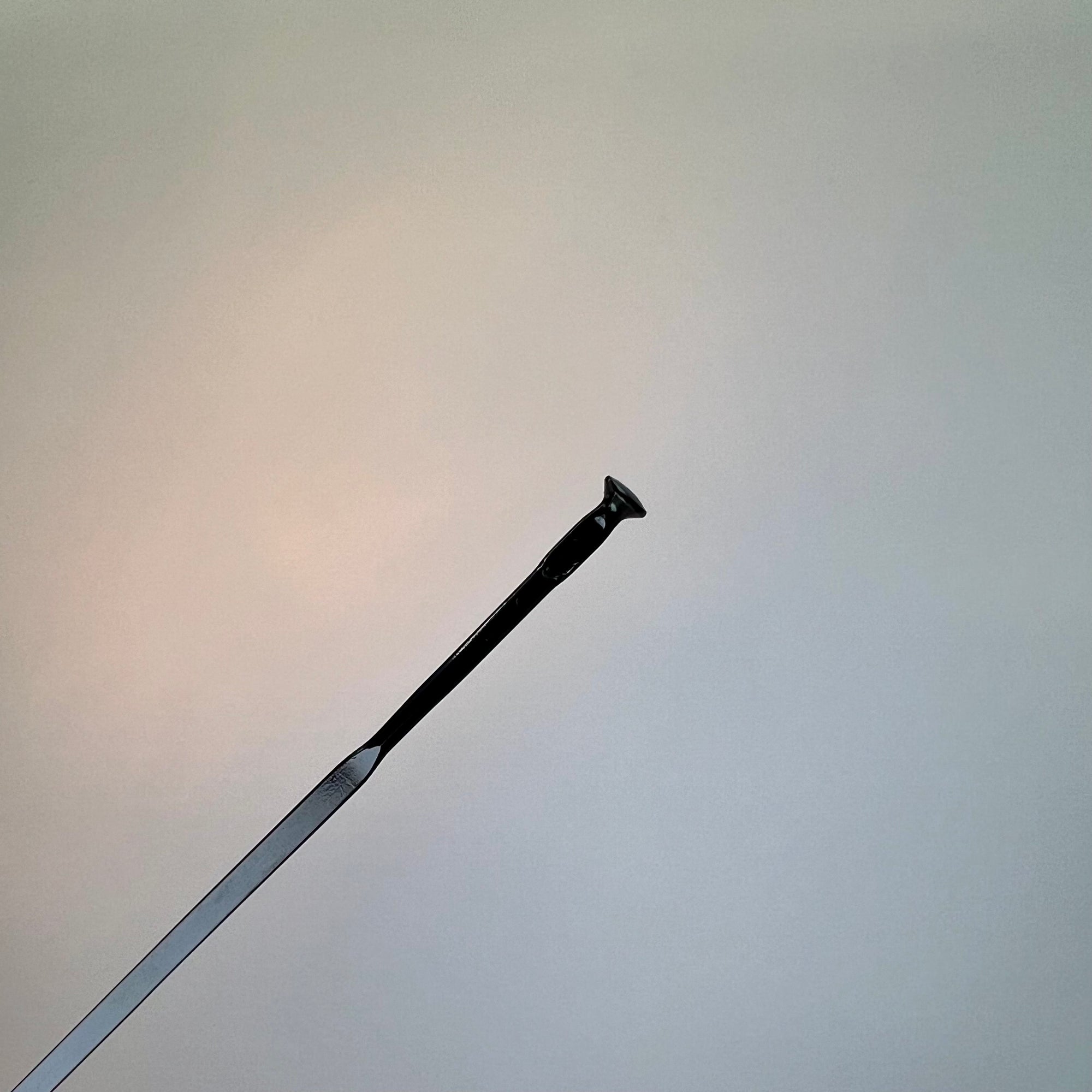 Mavic Crossmax SL/SLS/XL/XLS 29&quot; Spokes Black (2021+)