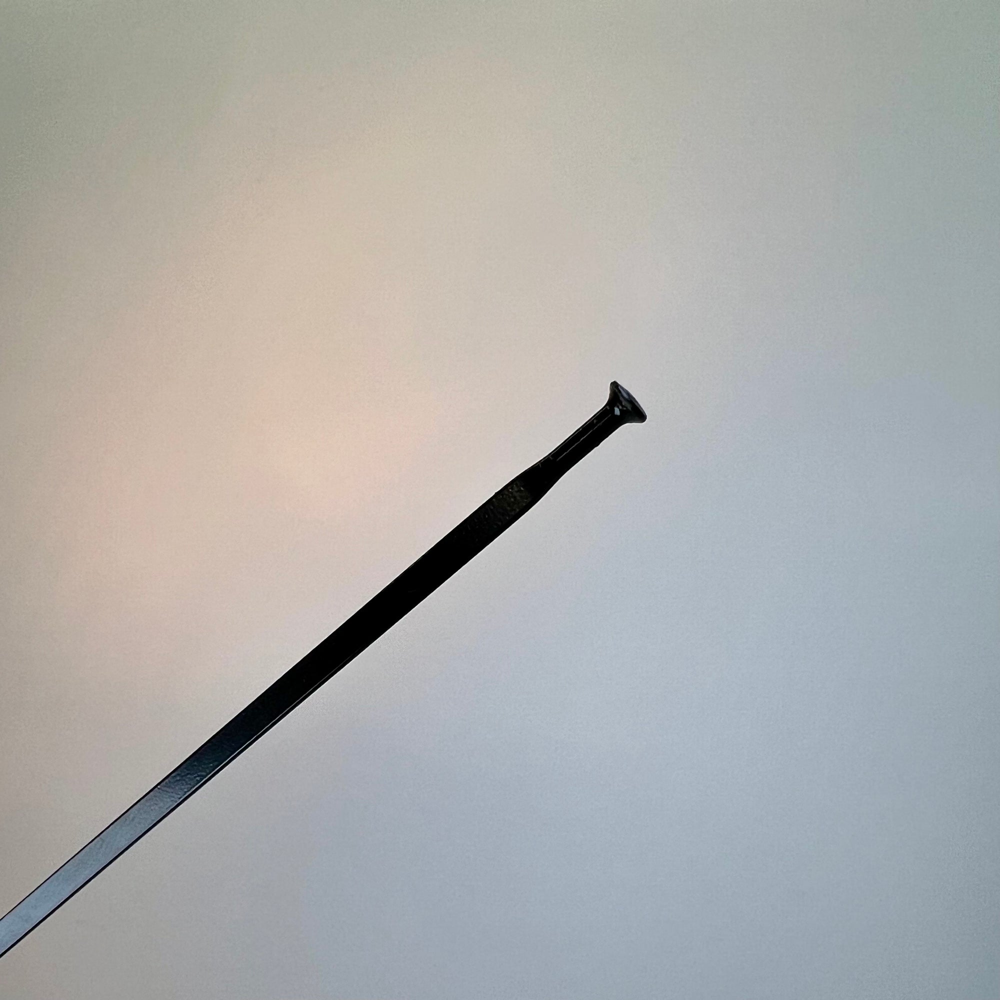 Mavic Crosstrail Disc Spokes (2011+)