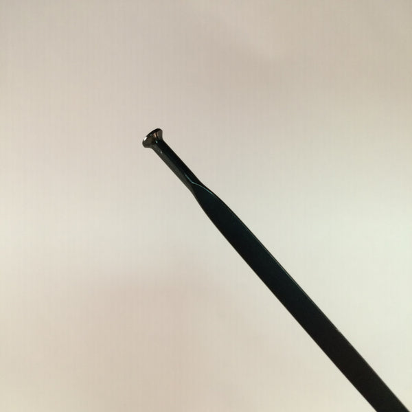 12028901b_ebe1d58f-6617-4bf1-